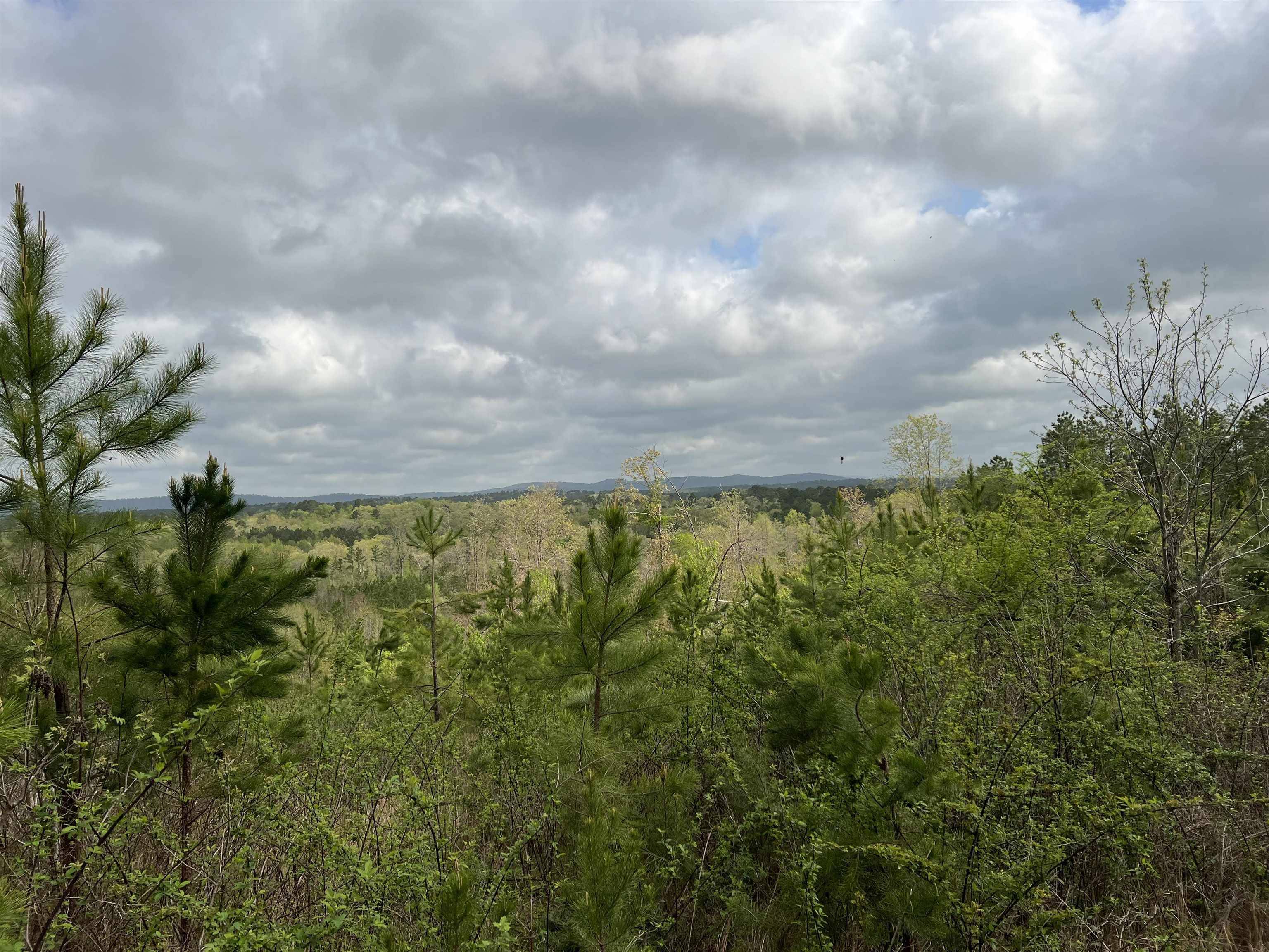 TBD E Old Bonnerdale Road, Bonnerdale, AR 71933