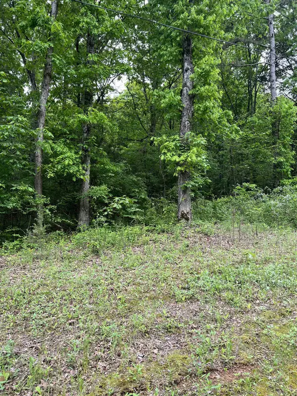 Heber Springs, AR 72543,Lot 14 Trout Drive