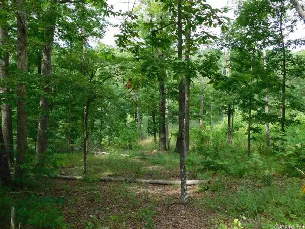 Ozark Acres, AR 72482,31 Lakeside Drive