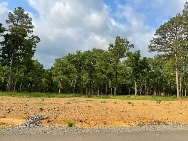 Conway, AR 72034,Orchard Hill Lot 18 Ph 3