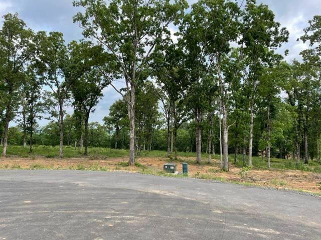 Conway, AR 72034,Orchard Hill Lot 2 Ph 2