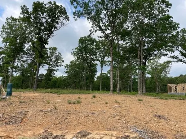 Conway, AR 72034,Orchard Hill Lot 28 Ph 3