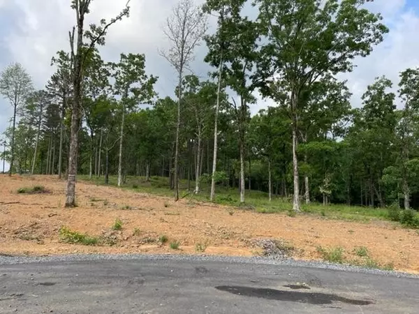 Conway, AR 72034,Orchard Hill Lot 28 Ph 3