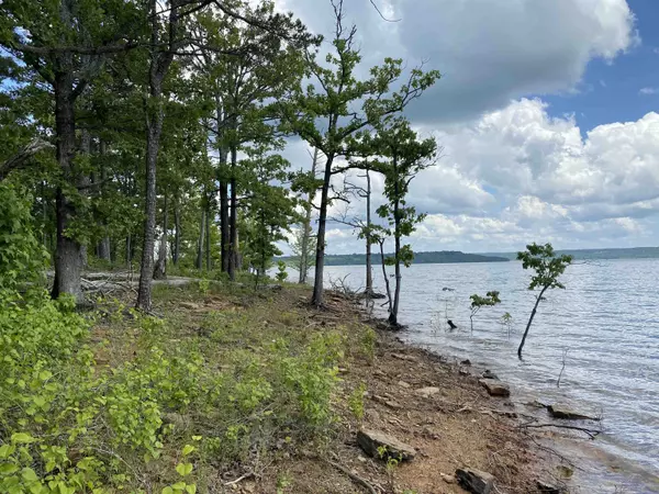 Quitman, AR 72131,Lot 48-50 Millers Point