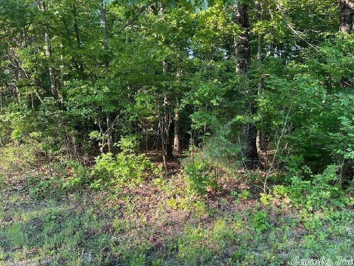 Horseshoe Bend, AR 72512,910 Lynwood Avenue