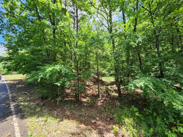 Fairfield Bay, AR 72088,0 Timber Road