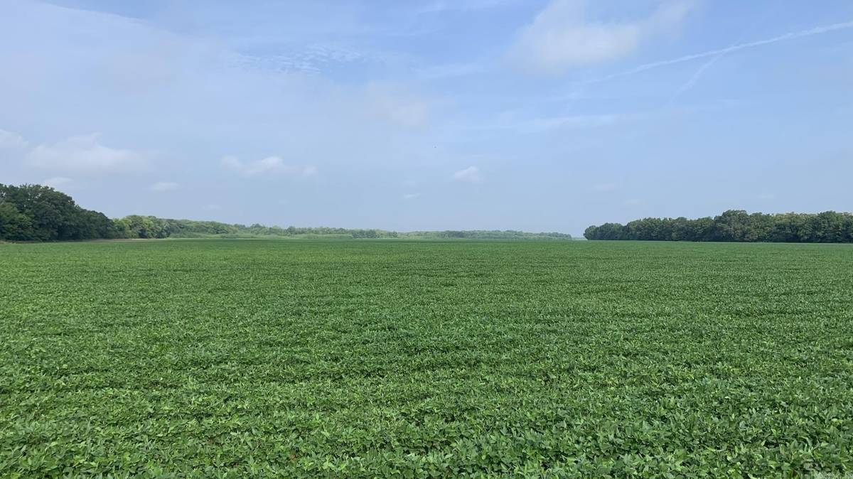 England, AR 72046,Address not disclosed