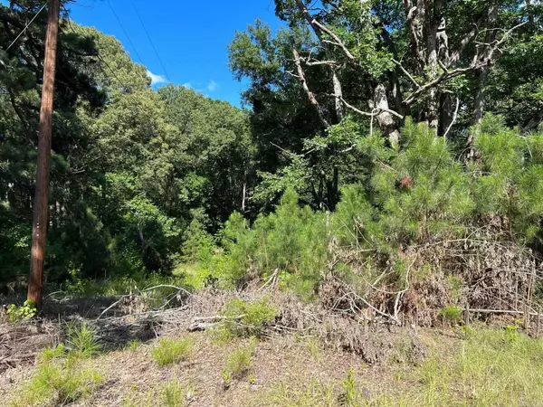 Arkadelphia, AR 71923,1834 Millcreek Drive