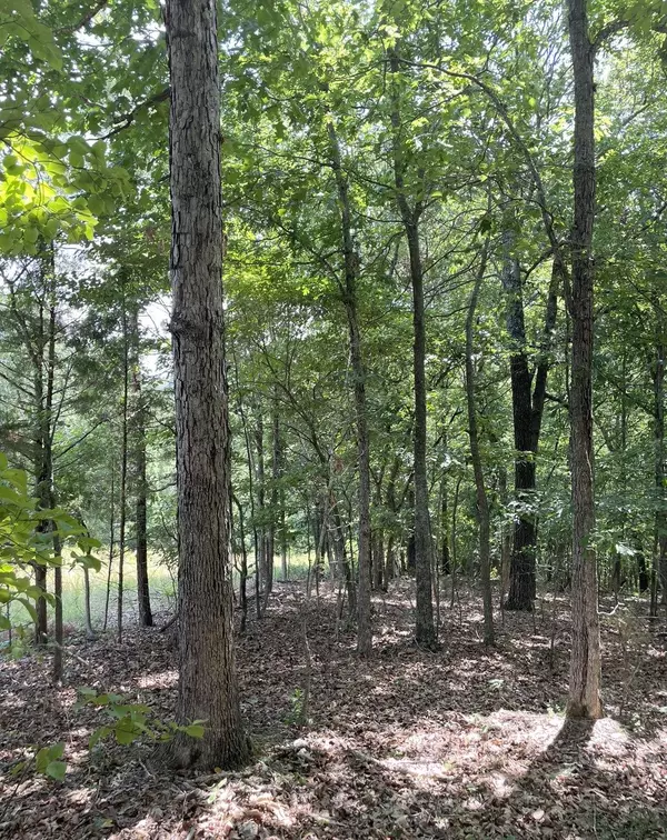 0 McCoy Trail, Jordan, AR 72519