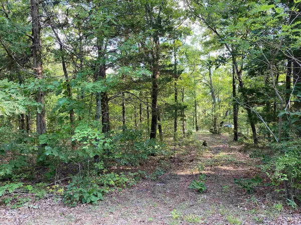 Mountain View, AR 72560,Lot 3 Misenheimer Road