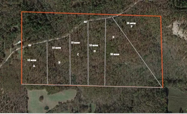 00 Seedling Rd Tract C, Saint Joe, AR 72675