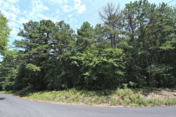 Mena, AR 71953,TBD Polk Road 645