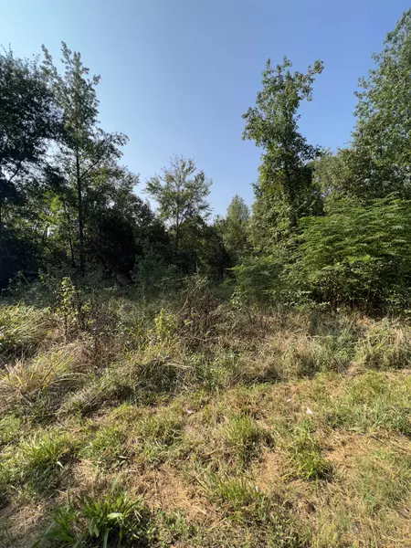 Lot D Ebenezer Road, Amity, AR 71921