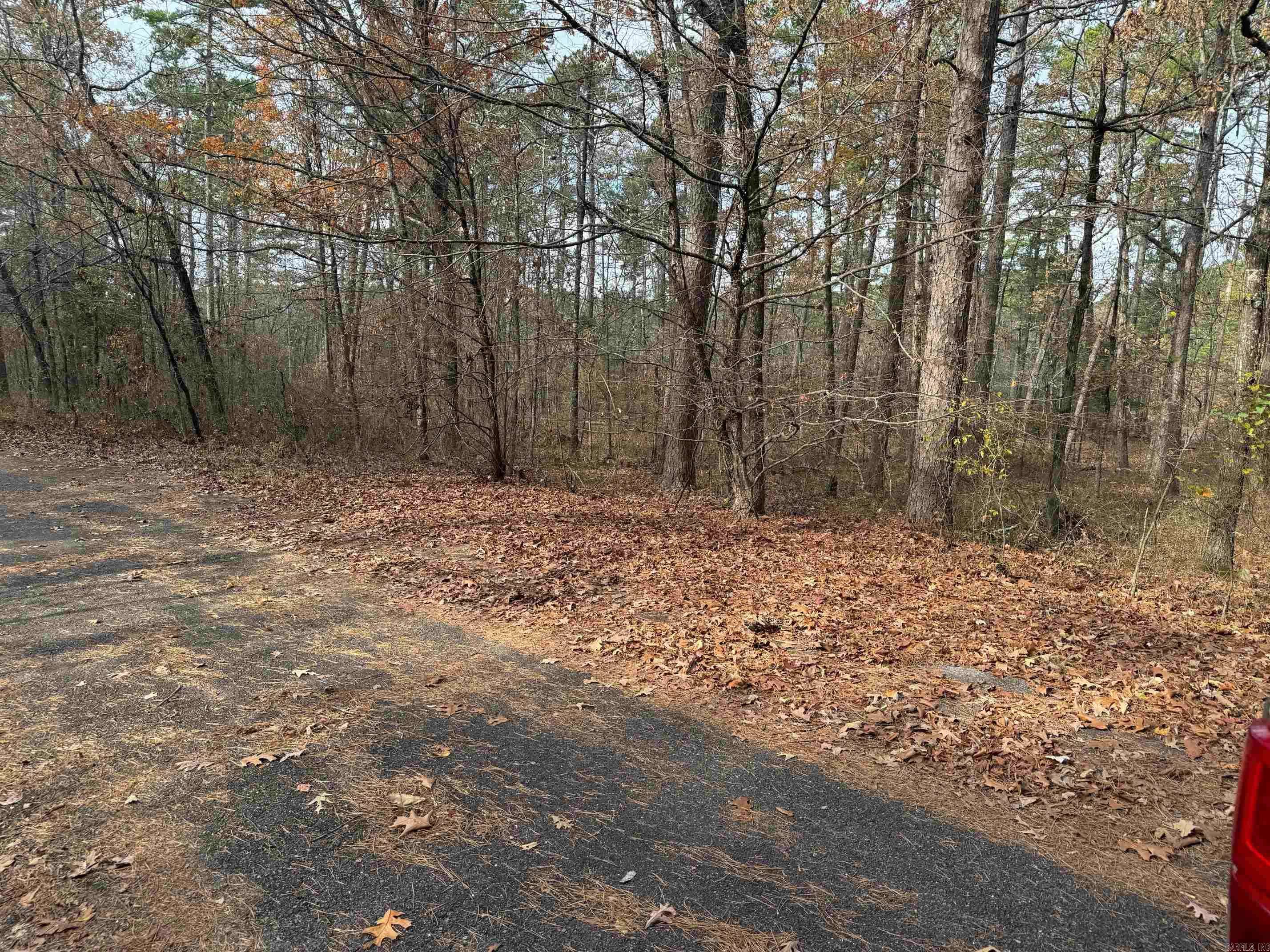46 CANARIA WAY, Hot Springs Village, AR 71909