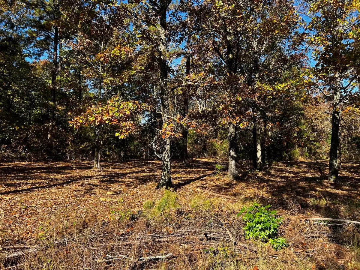 Searcy, AR 72143,Address not disclosed