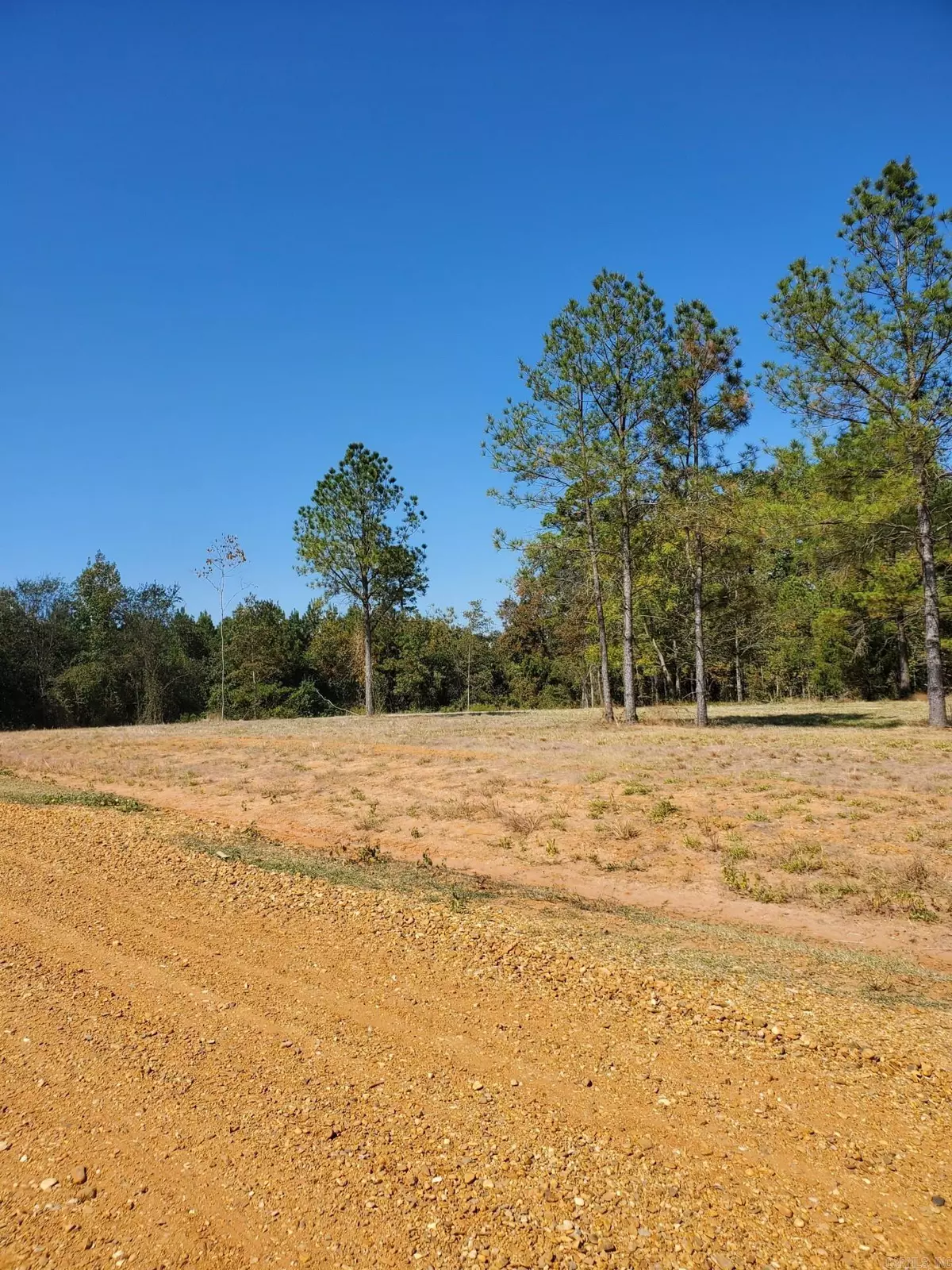 Rison, AR 71665,Lot 3 Young Pines