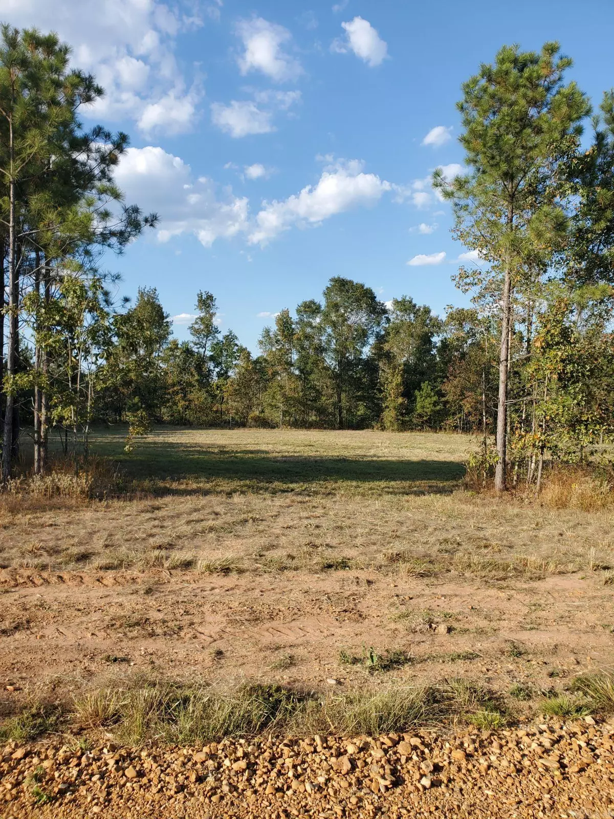 Rison, AR 71665,Lot 12 Young Pines