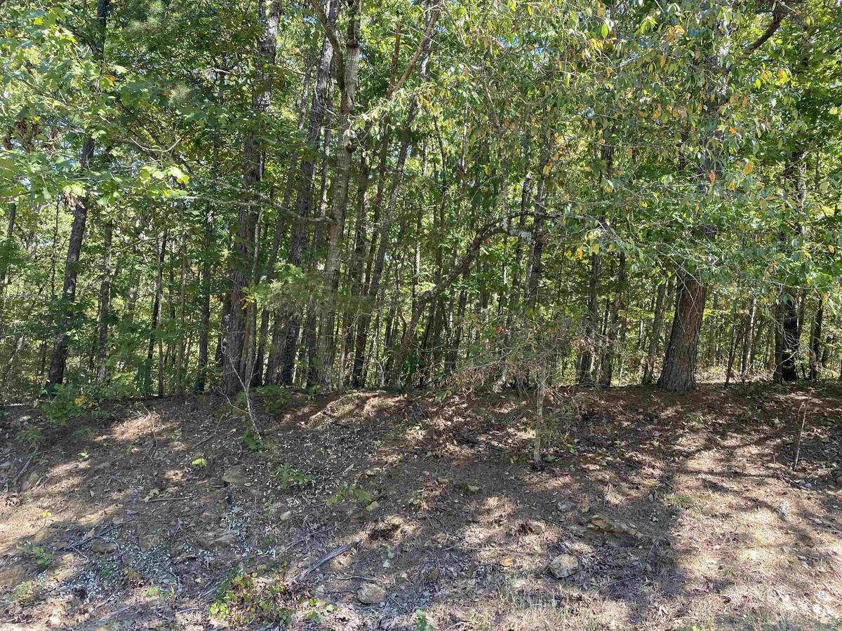 Drasco, AR 72530,00 Island Shores