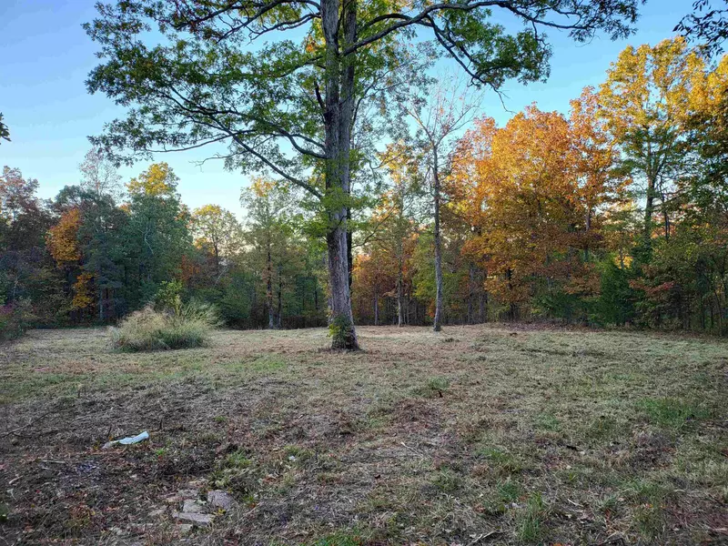 3795 Hwy 66, Leslie, AR 72645