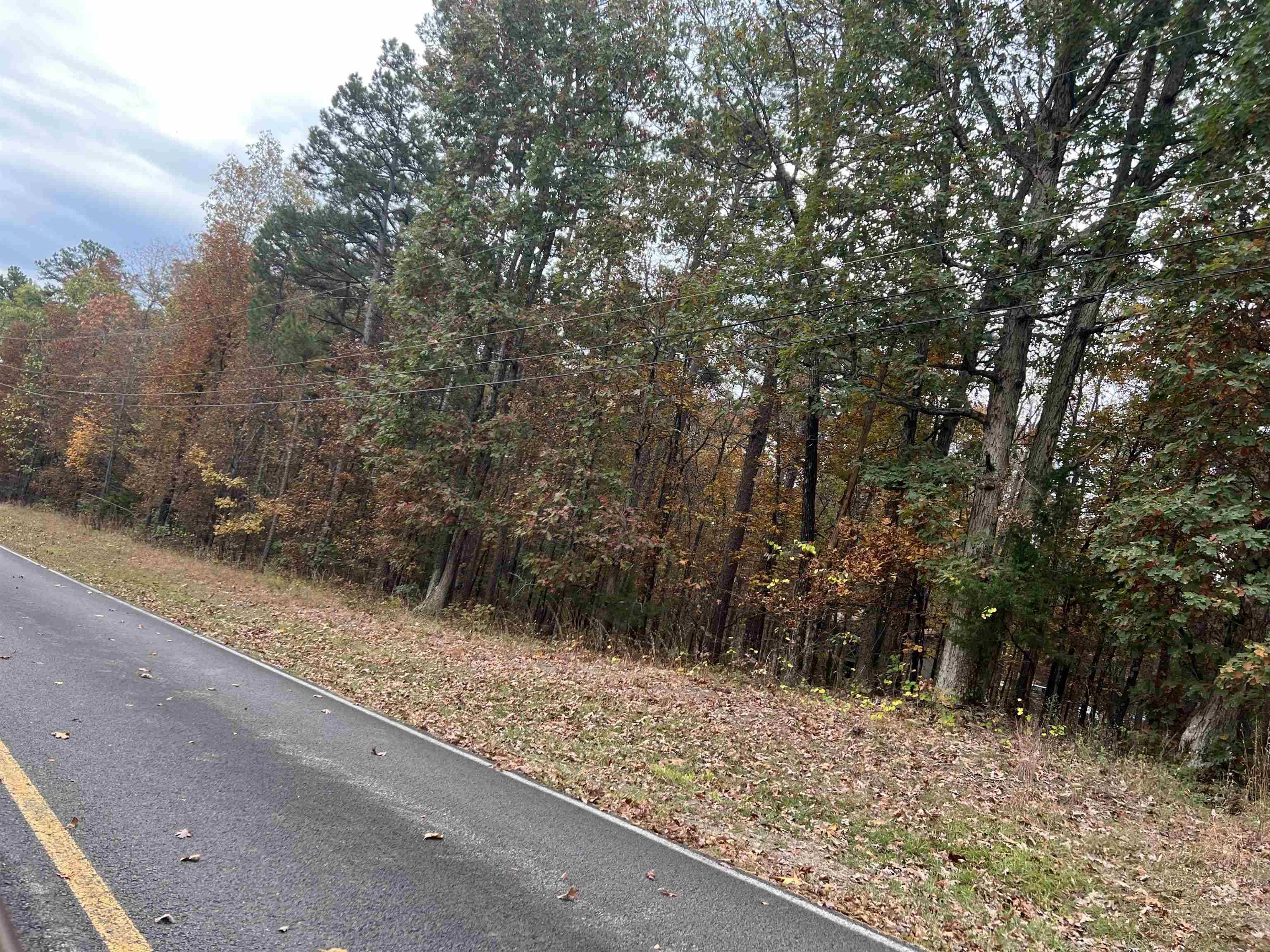 Fairfield Bay, AR 72088,00 Blue Ridge Lane