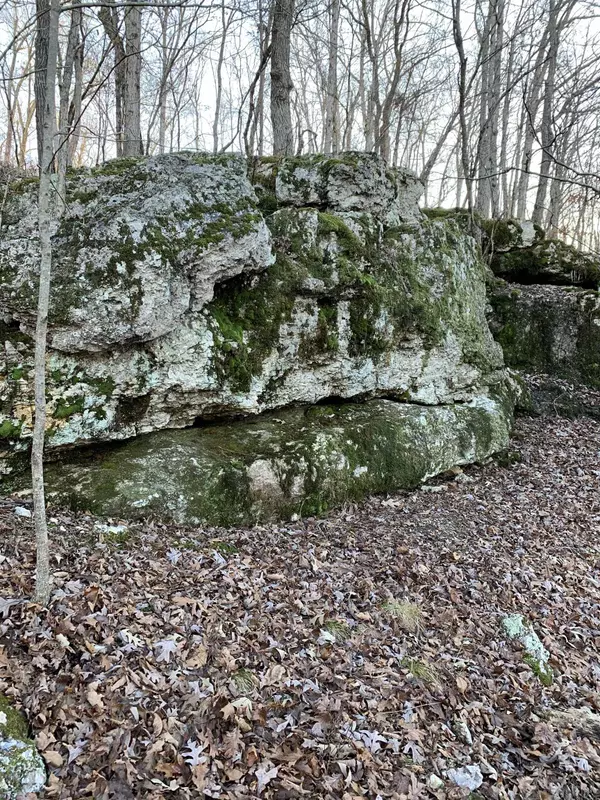 Flippin, AR 72634,001-00820-001 Breezewood Lane