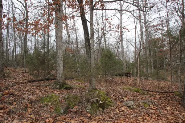 Bull Shoals, AR 72619,Lot 21 Woodstone Road