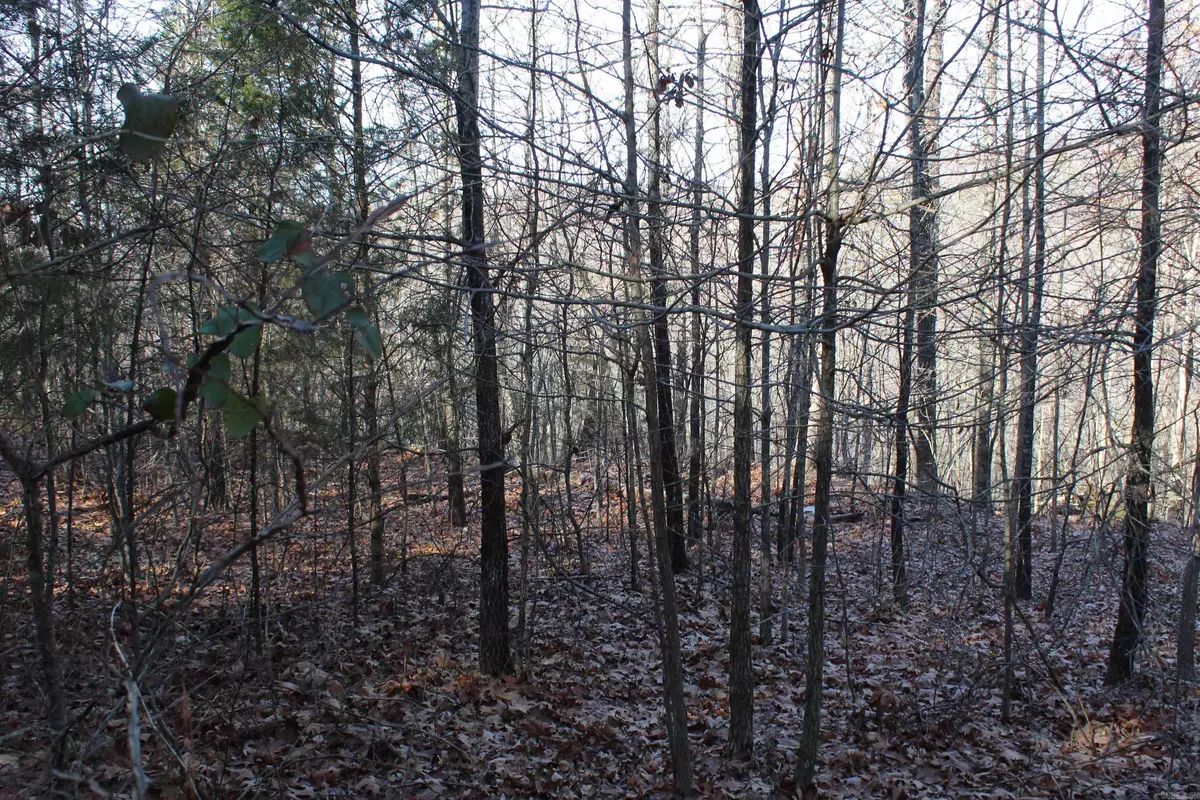 Saint Joe, AR 72675,Address not disclosed