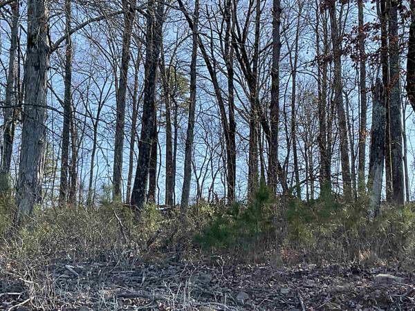 Greers Ferry, AR 72067,L13 Elrod Dr.