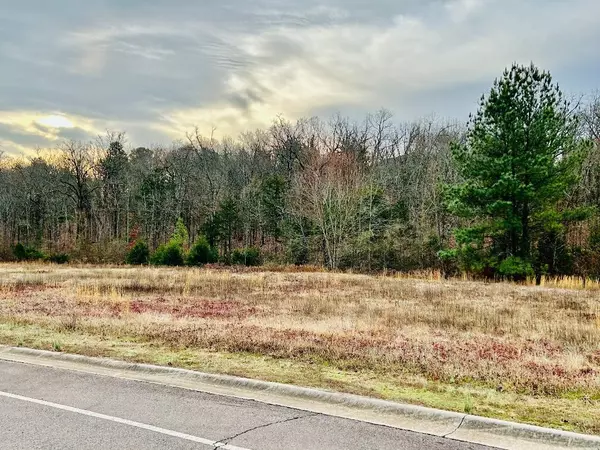 Morrilton, AR 72110,00 E Holloway B1 Lot 13 Hidden Valley