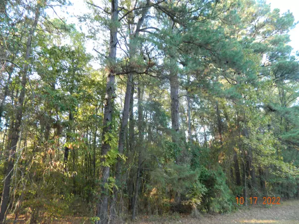 Lot 24 Southlake Drive Drive, Arkadelphia, AR 71923-9999