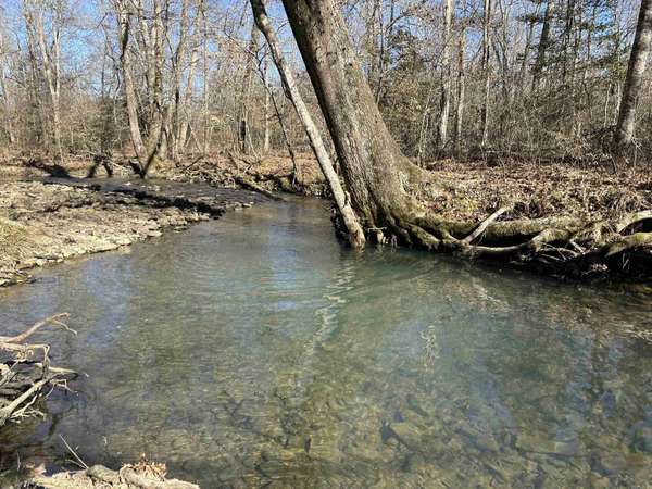 Mena, AR 71953,TBD Pond Lane