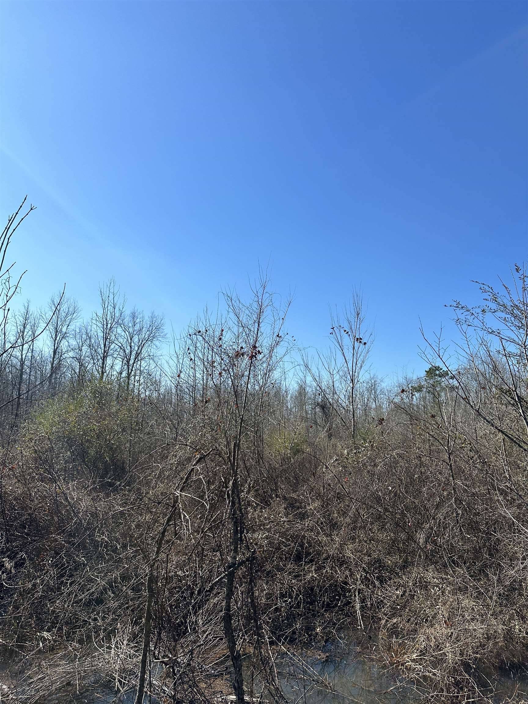 Prescott, AR 71857,00 Nevada County 23 Road