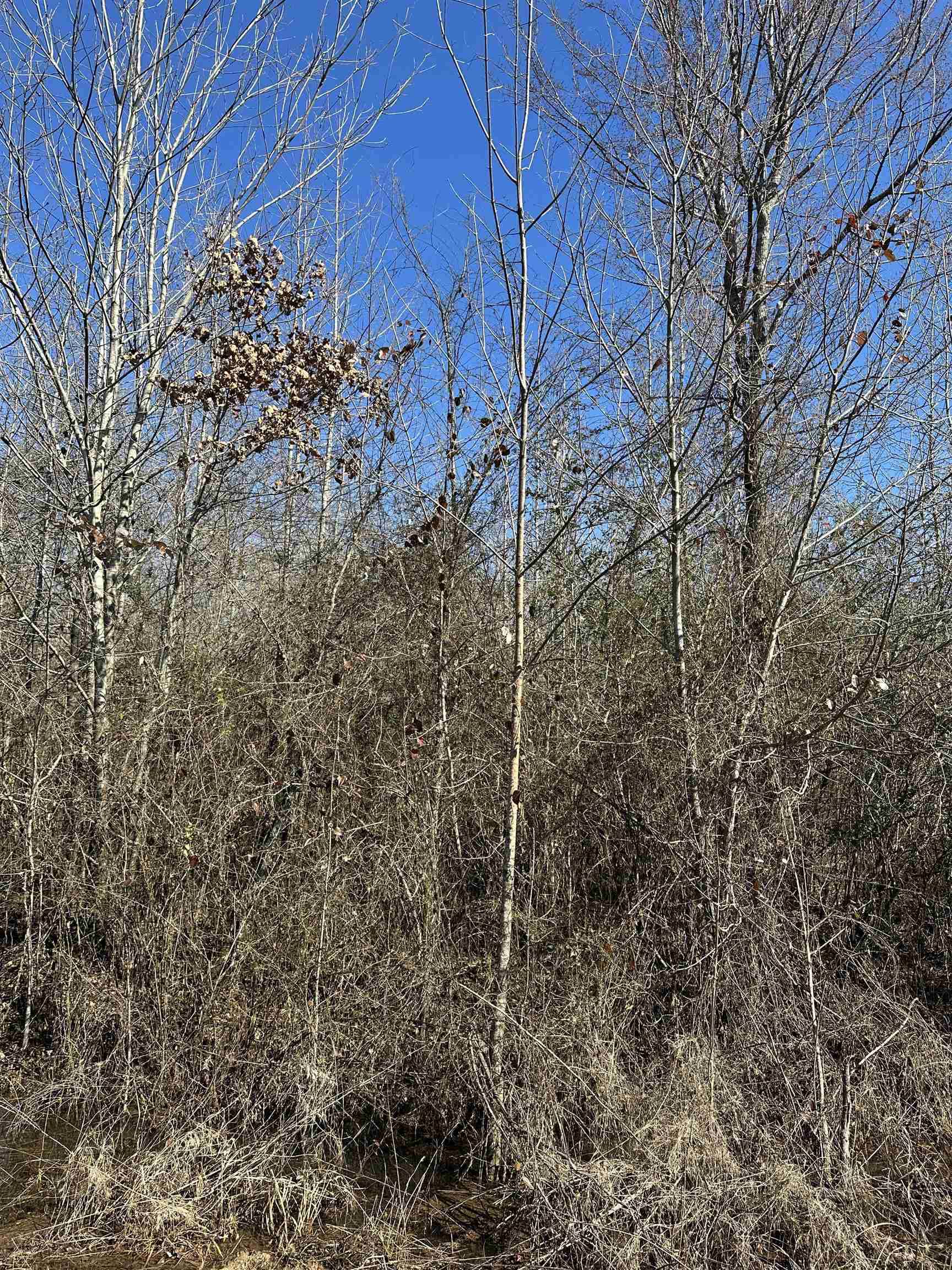 Prescott, AR 71857,00 Nevada County 23 Road
