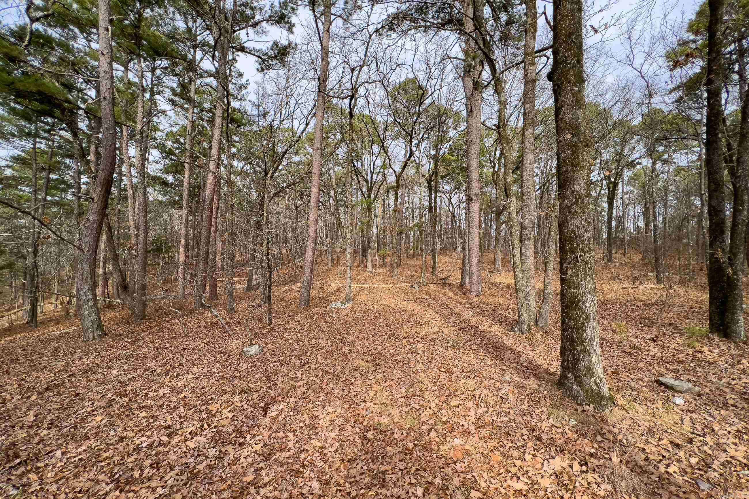 Little Rock, AR 72223,0037 Valley Ranch