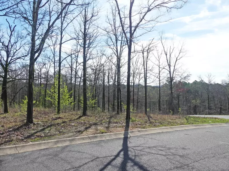 Lot 16 Rose Creek Court, Hot Springs, AR 71901