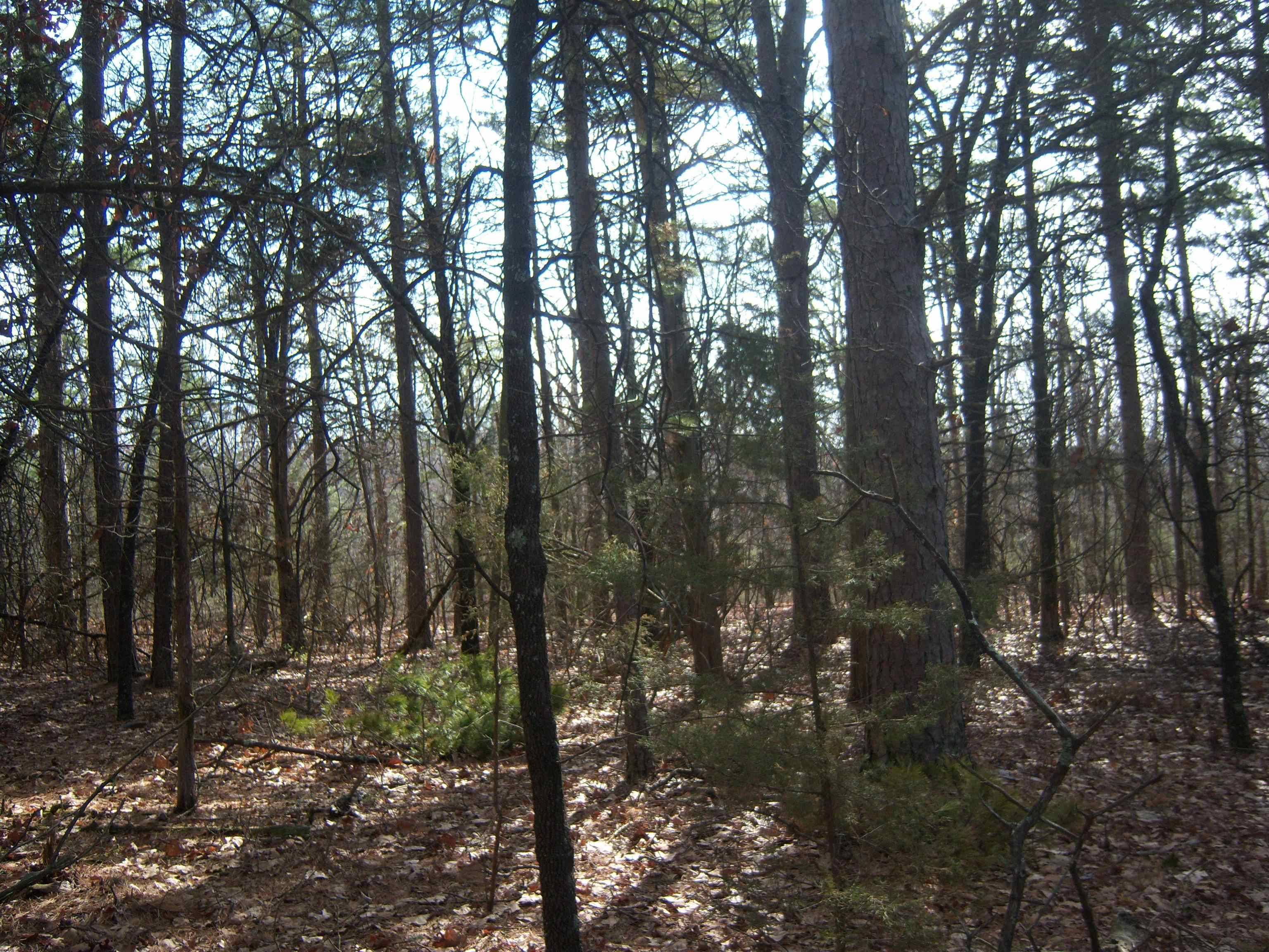 Double G Farm Road, Mountain View, AR 72560-9999