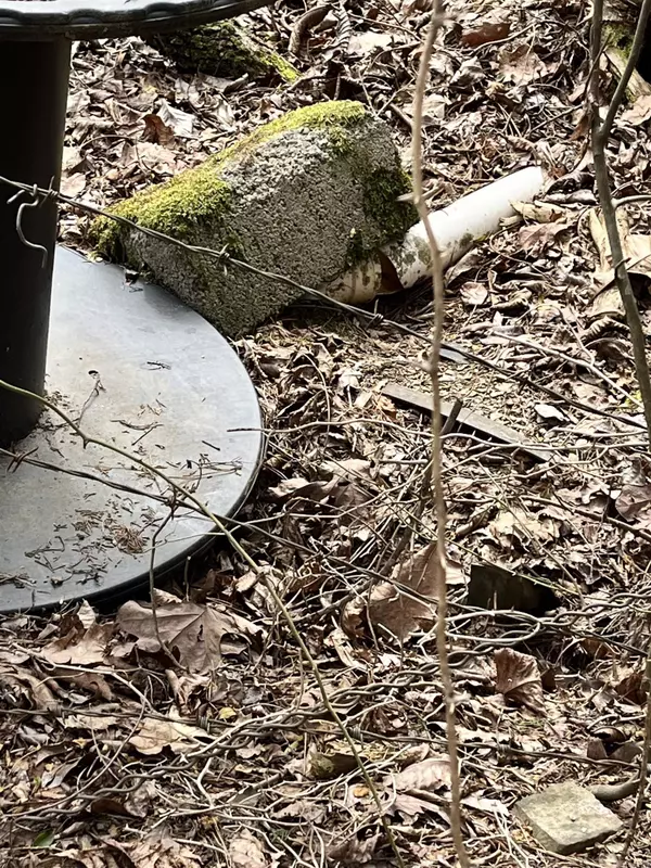 Grannis, AR 71953-0000,112 Blaze Lane