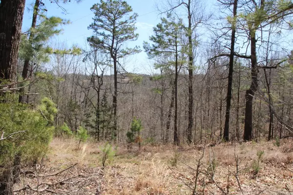Yellville, AR 72687,463 Crestwood Terrace