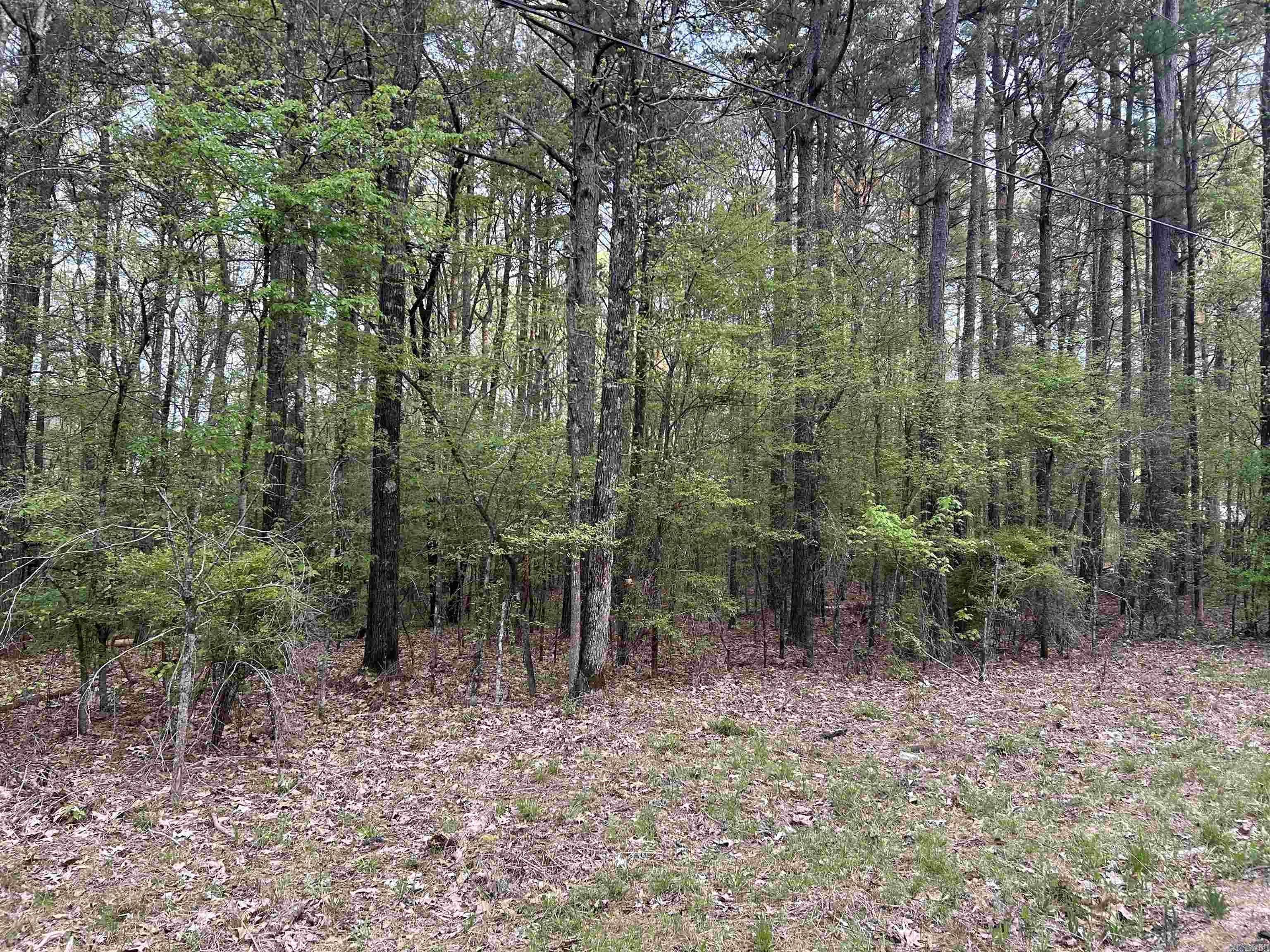 Monticello, AR 71655,Wheeler Ln