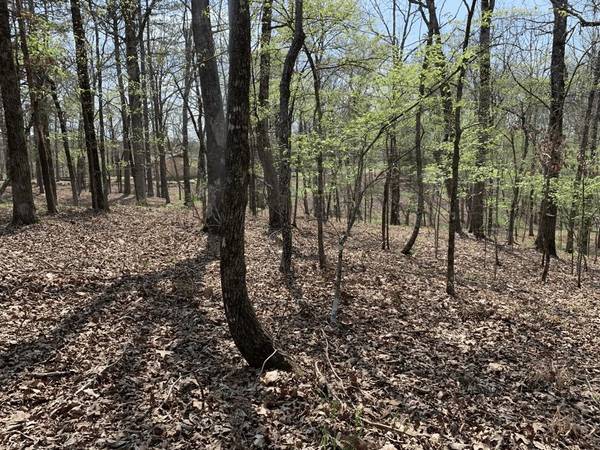 Mount Ida, AR 71957,TBD Crestwood Drive