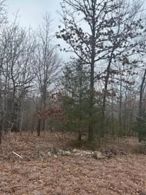 Mountain Home, AR 72663,Lot 15 Buckhead Lane