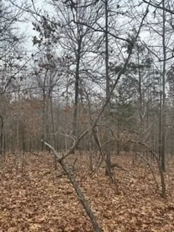 Mountain Home, AR 72663,Lot 15 Buckhead Lane