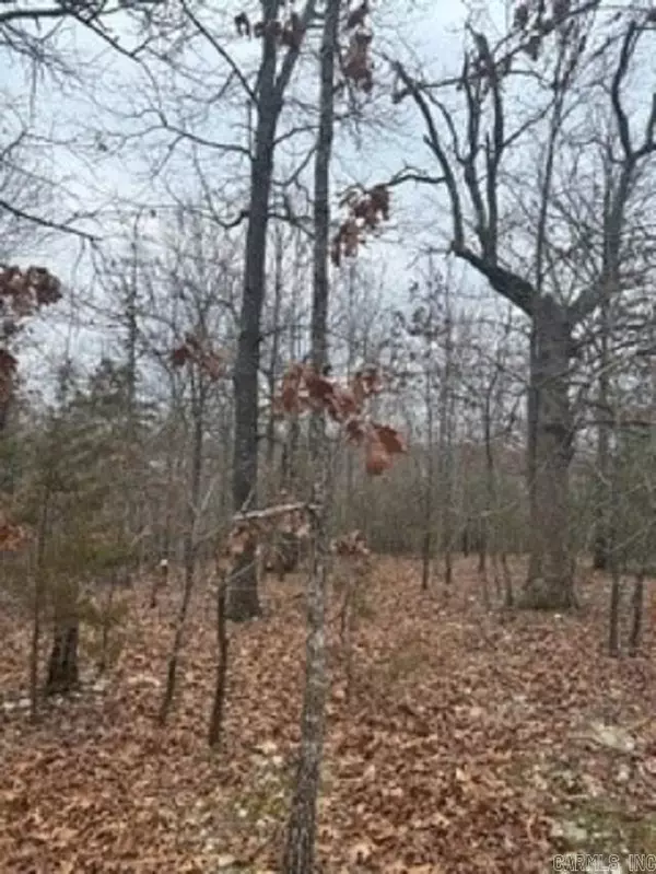 Mountain Home, AR 72653,Lot 14 & 15 Buckhead Lane