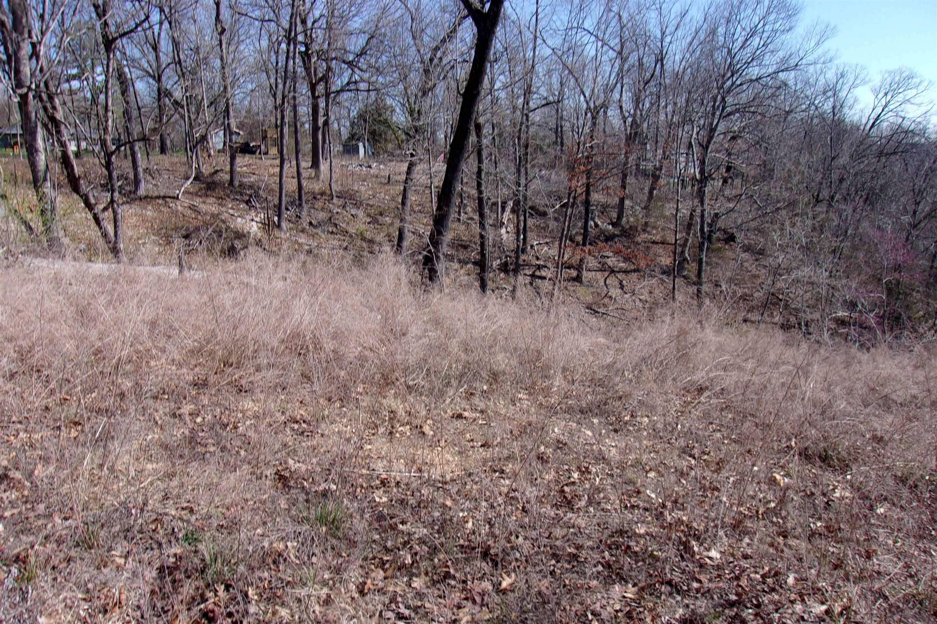 Bull Shoals, AR 72619-0000,lots Country Club Ln