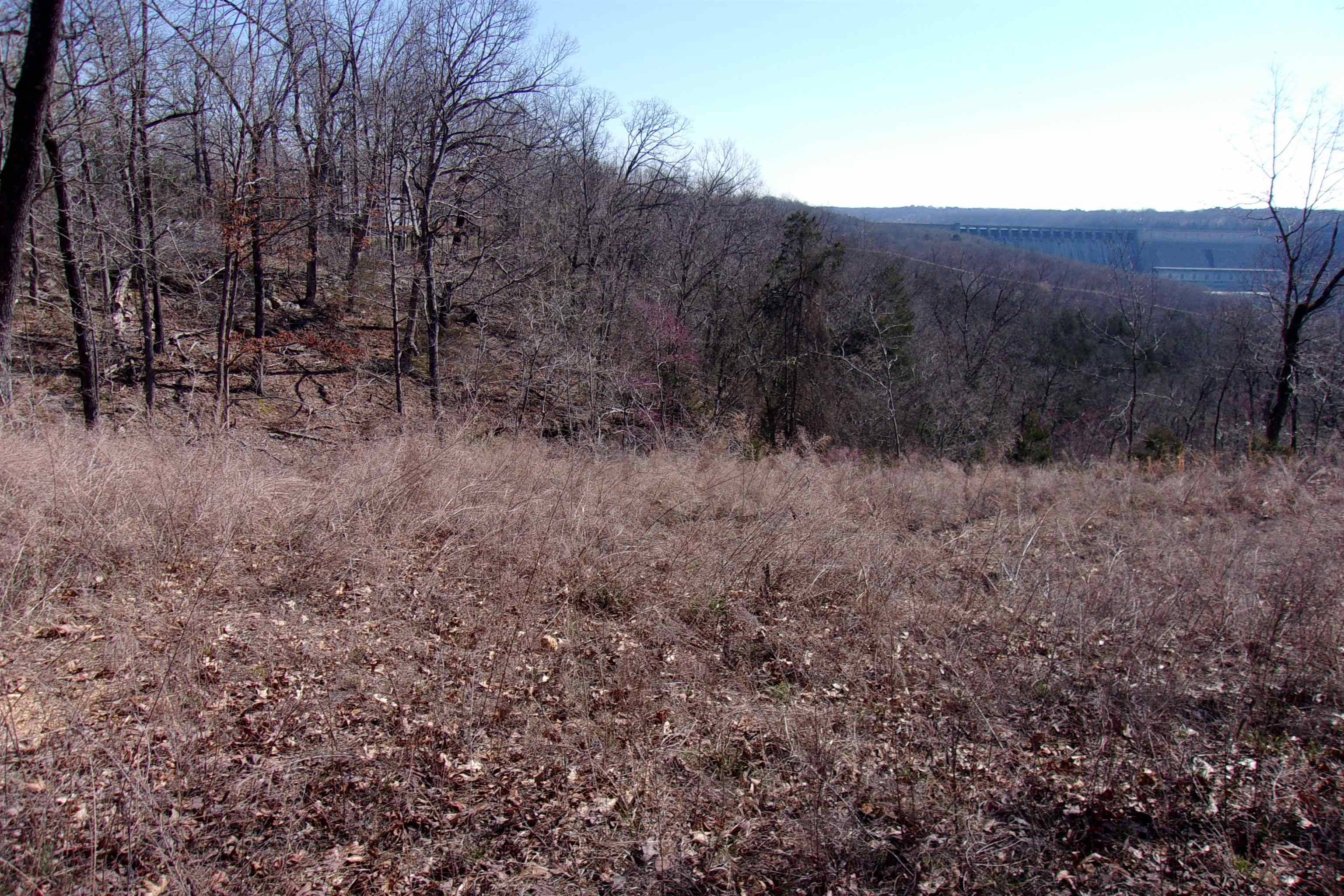 Bull Shoals, AR 72619-0000,Lot 9 Country Club Lane