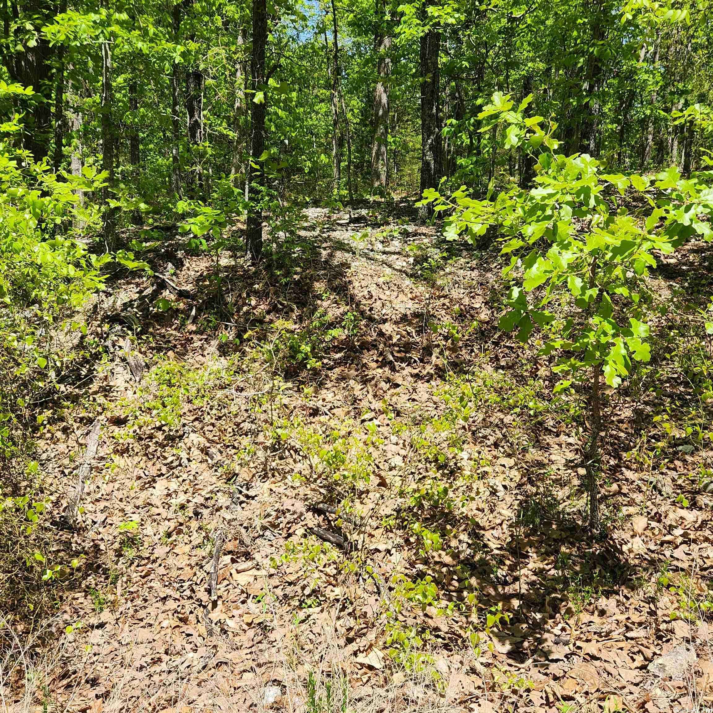 Cherokee Village, AR 72529,L-65 B-1 Kayenta Circle