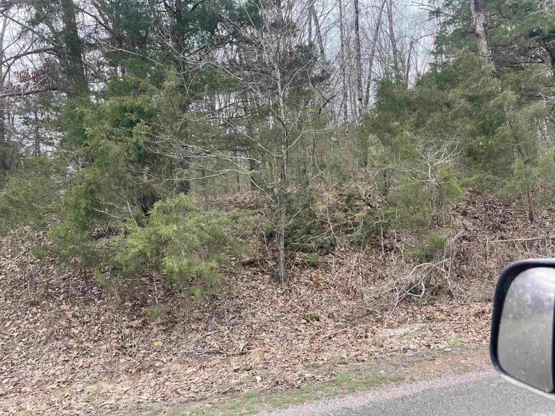 Upper Janes Creek Road, Ravenden Springs, AR 72460