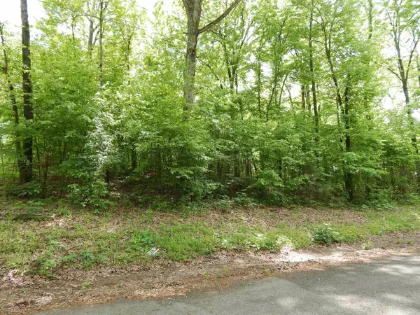 Lots 30 & 31 Little Dunham, Heber Springs, AR 72543