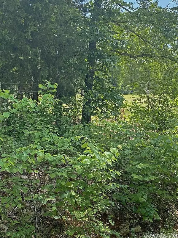 Cherokee Village, AR 72529,Alamo Trail
