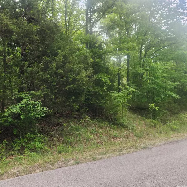 L-27 B-12 Immokalee Drive, Cherokee Village, AR 72529